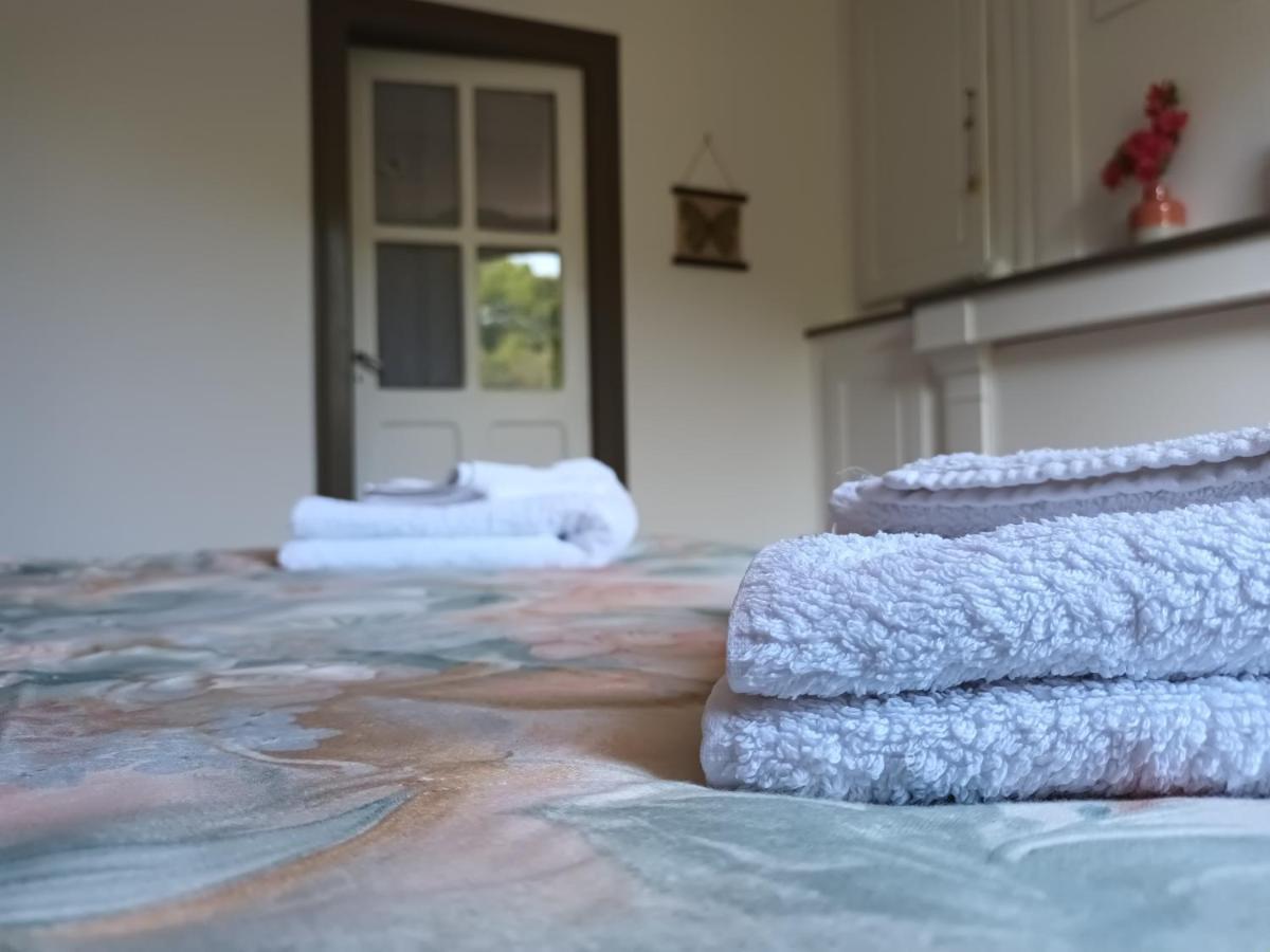 Chambres D'Hotes Le Veilleur De Noblat Saint-Léonard-de-Noblat Eksteriør billede